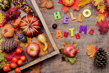 autumn leaves, pumpkins, cones and colorful inscription Hello AUTUMN. view from above.の写真素材
