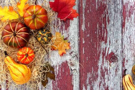 Autumn colorful pumpkins and fallen leaves on a textured wood background. view from above. Space for...