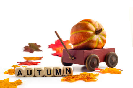 wooden cart with pumpkin on white background and the word AUTUMN, collected of wooden cubes. copyspace.の写真素材