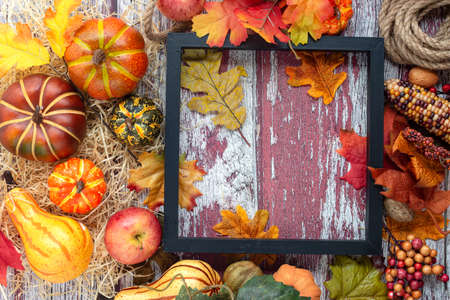 Autumn colorful pumpkins, apples, corn and fallen leaves on a textured wood background. view from above. Frame for text.の写真素材