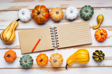 pumpkins, an open notepad, pencil, on white boards. view from above. Space for text.の写真素材