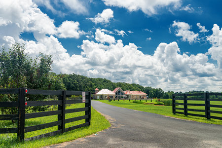 A modern one-story, luxurious, brick house with large windows and a huge green lawn. Landscape on a summer sunny day under a blue cloudy sky.のeditorial素材