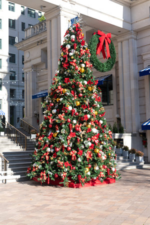 Christmas tree in downtown Washington. Sunny day. Preparation for the holiday.の写真素材