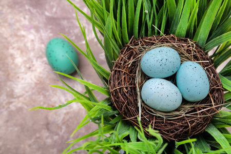 Easter turquoise eggs in a bird's nest close-up on green grass, top view. Happy Easter holiday....