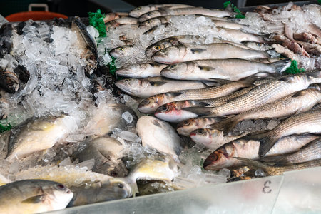 fish on the counter of the Seafood Market in Washington. A variety of freshly caught fish lies on...