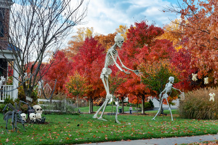 Skeletons and skulls are traditional attributes of Halloween in America. Frontyard decoration for Happy Halloween.の写真素材