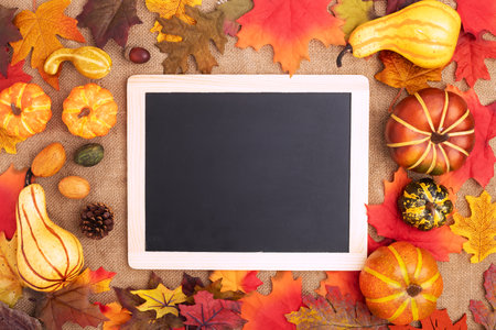 frame lying on colored autumn leaves. Surrounded by pumpkins, nuts, ears of wheat. Hello autumn, back to school, harvesting concept, flat lay. Space for text.の写真素材