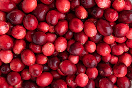 Ripe cranberries close-up. Top view.の写真素材