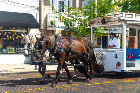 horse-drawn carriage with tourists rides along a cobblestone road. Sightseeing tourism in Wilmington in north carolina.のeditorial素材