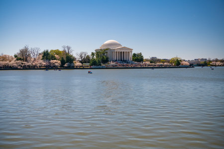 Jefferson Memorial during the Cherry Blossom Festival in Washington DC.の写真素材