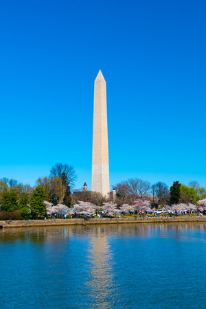 Washington Monument, Tidal Basin and cherry blossom trees in spring, Washington DCのeditorial素材