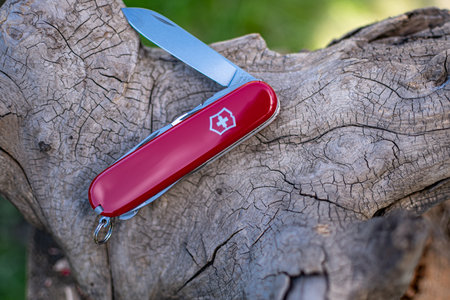 Close-up of a Swiss army knife in the forest on a snag.