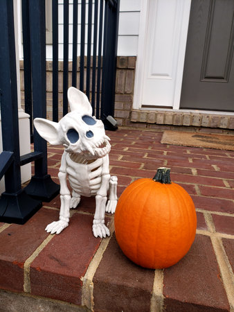 Skeleton dog sitting on brick porch steps decorated with Halloween pumpkins and autumn leaves