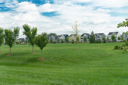 Rows of detached houses with a large green lawn in the suburbs of Virginia.の写真素材