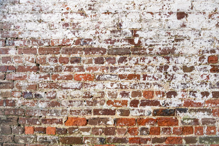 Vintage Wallpaper Grunge texture of an old brick wall with remnants of lime and mold. deteriorated cement and stuccoの写真素材