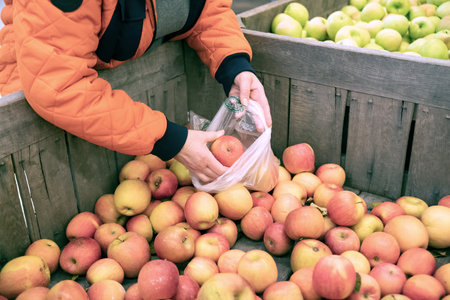 woman picks out Ripe apples on the counter of a farm store.の写真素材