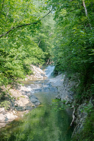 river in a national park in Virginia in August.
