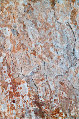 Earth Tones Stone Texture. Warm, layered sandstone pattern for natural designs.