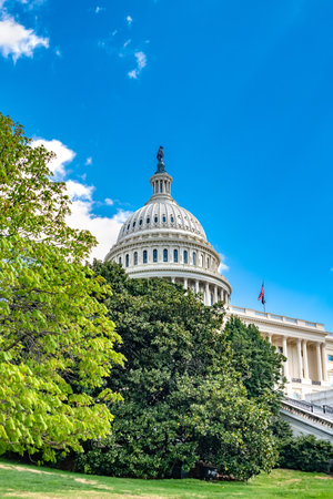 US Capitol in Washington DC You can only see the dome behind the green trees.の写真素材