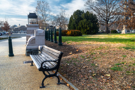wooden bench in a city park on the side of the sidewalk.の写真素材