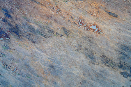 Detailed rock texture with earthy layered pattern. Ideal backdrop for geology or nature-themed...
