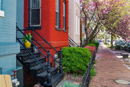 Colorful rowhouses on Capitol Hill in Washington, DC.の写真素材