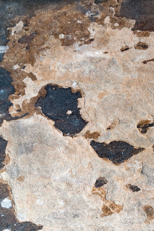 Warm ochre stone with iron-stained veins. Authentic natural rock pattern.