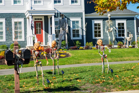 Creepy Yard Skeletons in Fall Setting. A giant skeleton, skeleton dog, and skeleton props create a...
