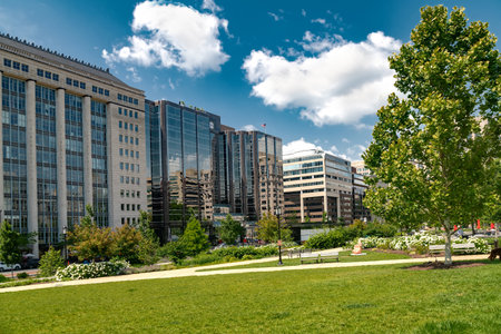 Downtown cityscape with trees, sidewalk, and skyscrapers under sunny blue skyの写真素材