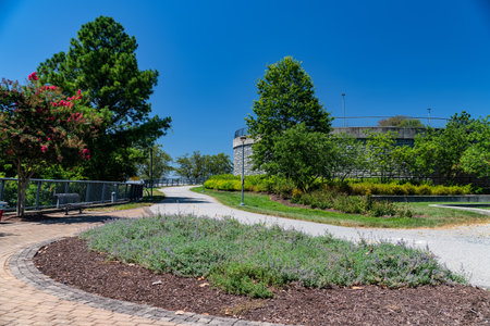 Bike path and sidewalk in a pedestrian area of ââthe city center. Trees and shrubs.の写真素材