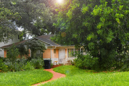Freshly mowed grass by residential path. A suburban garden in the sun.