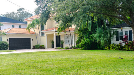 Modern lawn with tropical layout. Clean lines in urban landscaping.