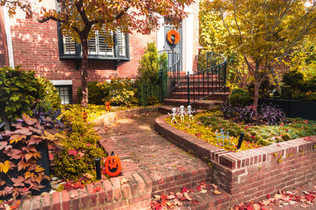 Colorful fallen maple leaves decorate the entrance to a classic American rowhouse. A peaceful fall...