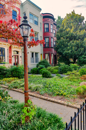 Elegant brick townhomes framed by vibrant green hedges and a stone path. A serene scene from a residential Washington street.の写真素材