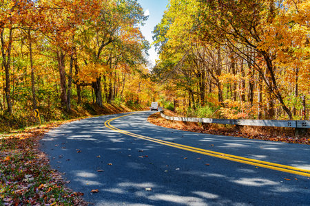 Scenic curved highway through forest in fall season along Blue Ridge Parkway