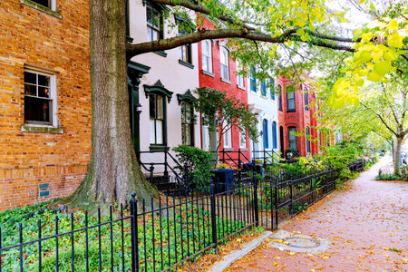 Leaf-strewn path leading to a vintage-style townhouse door.の写真素材