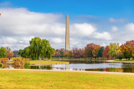 Fall colors surround the Washington Monument on a cloudy November morningの写真素材