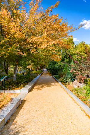Vibrant fall foliage and walkway in public park in Washingtonの写真素材
