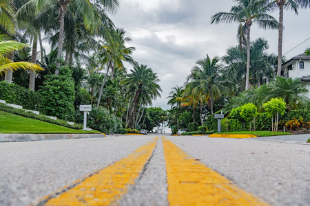 Symmetrical view of a suburban palm-lined road in coastal Floridaの写真素材