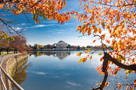 Scenic view of fall foliage and Jefferson Memorial across the tidal basinの写真素材
