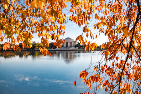 Jefferson Memorial framed by autumn leaves with water reflection in Washington DCの写真素材