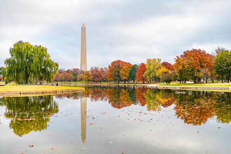 Washington Monument Reflected in Autumn Pond on the National Mallの写真素材