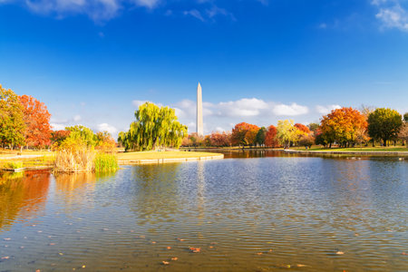 View of Washington Monument with Fall Foliage and Water Reflectionの写真素材