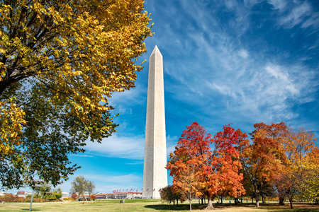View of the Washington Monument Framed by Autumn Leavesの写真素材