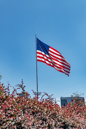 USA flag flying high on flagpole in sunny weather