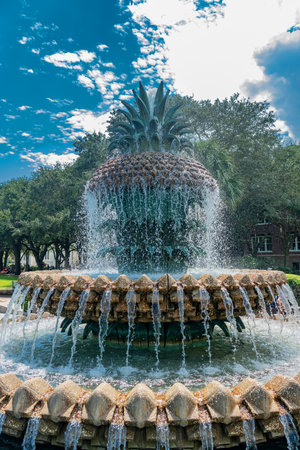 Pineapple fountain with tropical palm trees and blue sky in Charlestonの写真素材