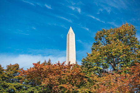 Historic Washington Monument Against a Blue Sky with Fall Colorsの写真素材