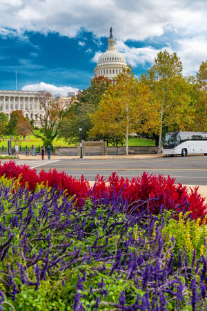 United States Capitol with classic architecture, blooming foreground and bright white clouds above domeの写真素材