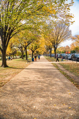 Tree lined sidewalk and everyday urban life in Washington DC parkのeditorial素材