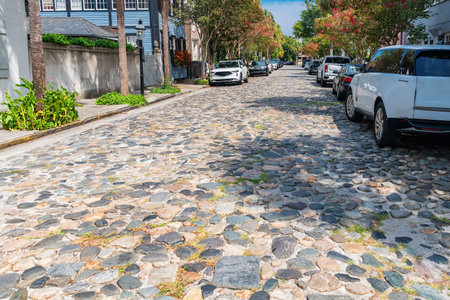 Quiet historic street with cobblestone pavement in the old city of Charlestonの写真素材